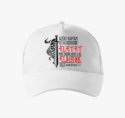 Viking bejzbolska kapa