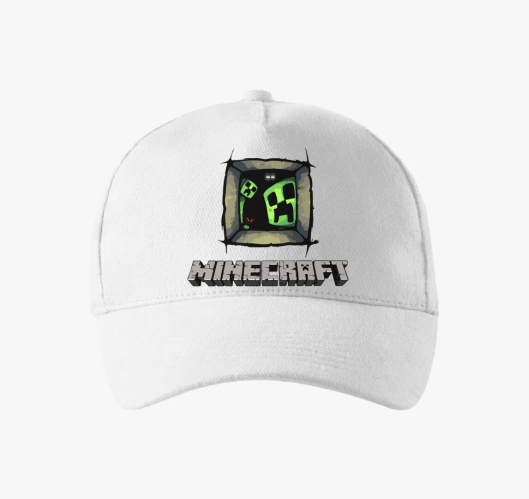 Minecraft window zombie bejzbo...