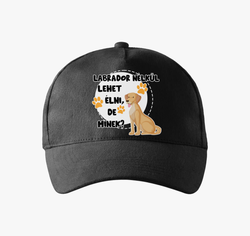 Labrador lehet de minek bejzbolska kapa