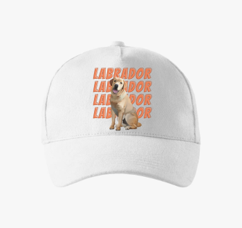 Labrador bejzbolska kapa