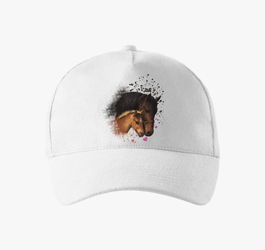 Kanca in bejzbolska kapa