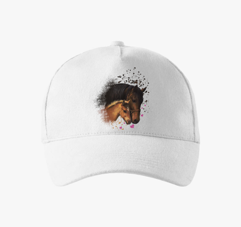 Kanca in bejzbolska kapa