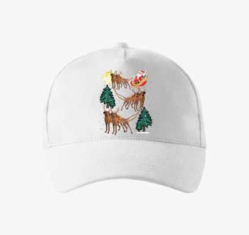 Vizsla bejzbolska kapa