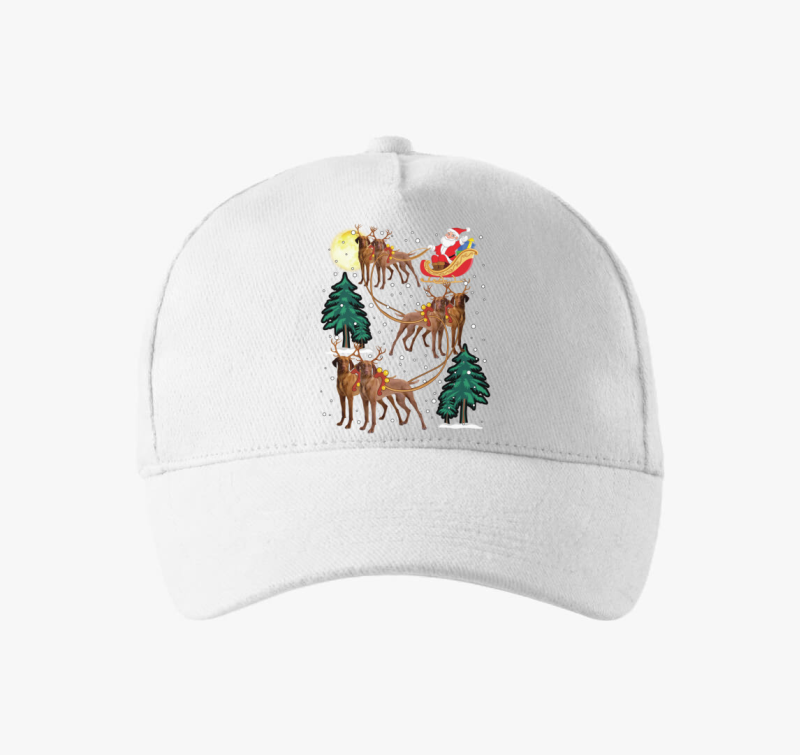 Vizsla bejzbolska kapa