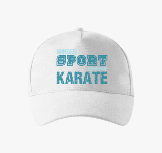 Vsak sport karate bejzbolska k...