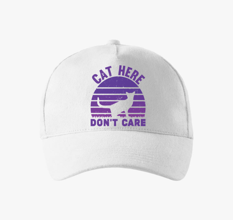 Cat here don't care bejzbolska kapa