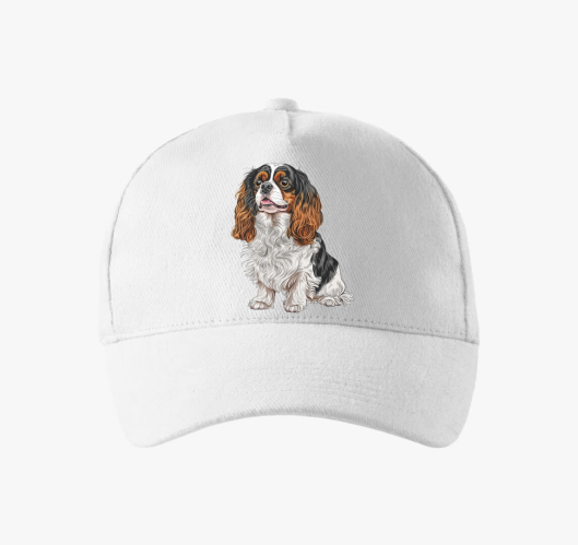 Spaniel bejzbolska kapa