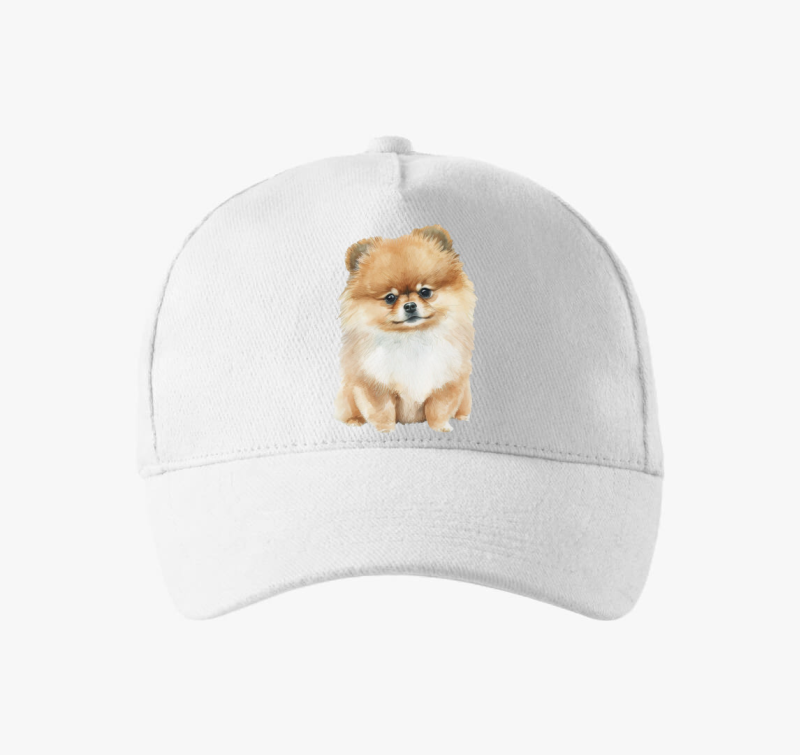 Spicc bejzbolska kapa