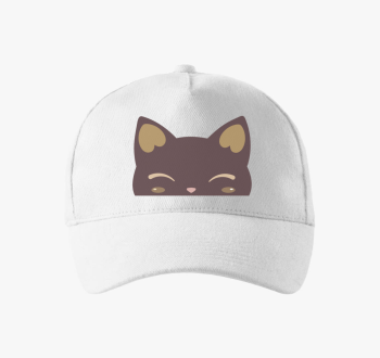 Cicaarc bejzbolska kapa