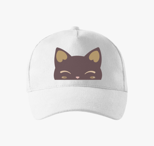 Cicaarc bejzbolska kapa