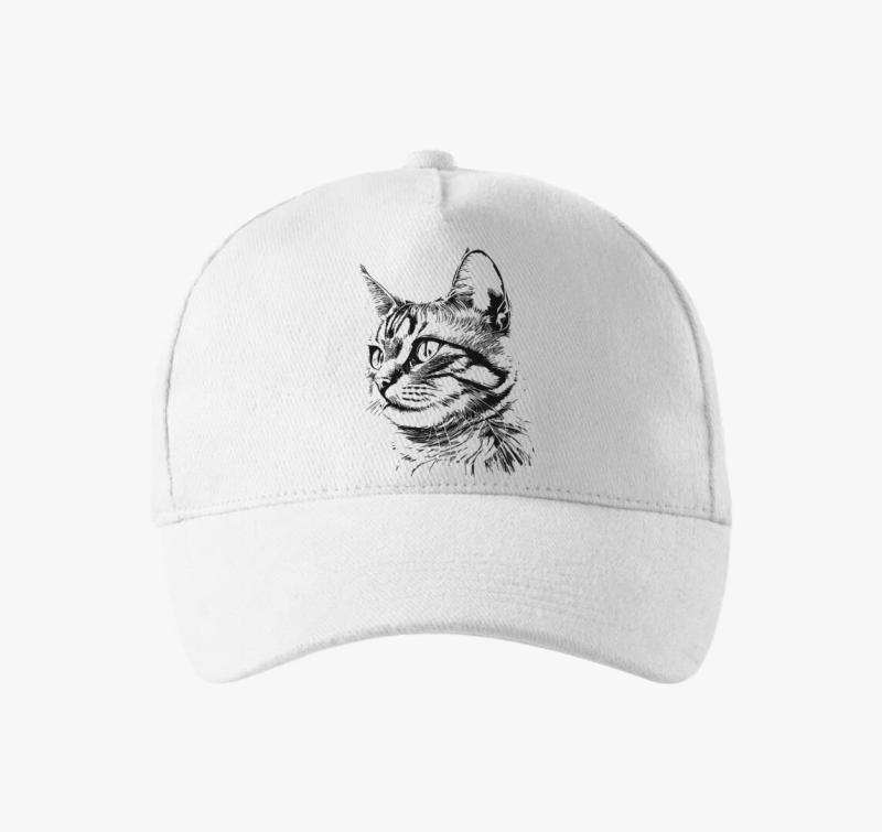 Aranyos cica 2 bejzbolska kapa