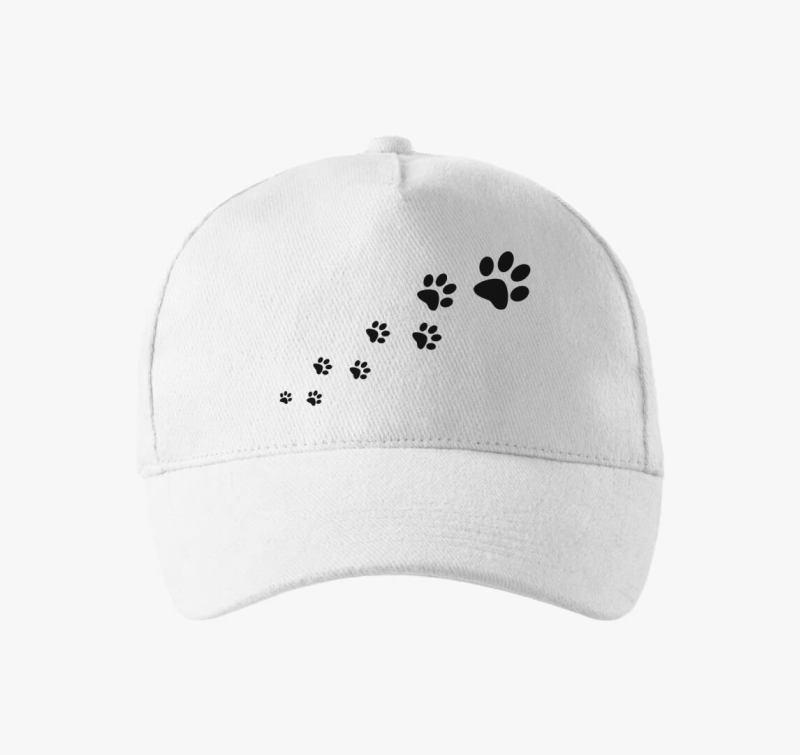 Tappancsok bejzbolska kapa