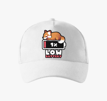 Low Battery bejzbols