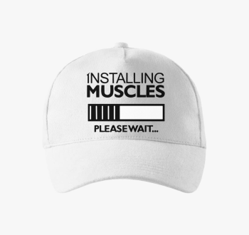 Installing muscles b...