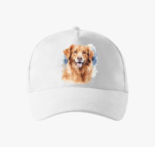 Golden retriever bejzbolska ka...