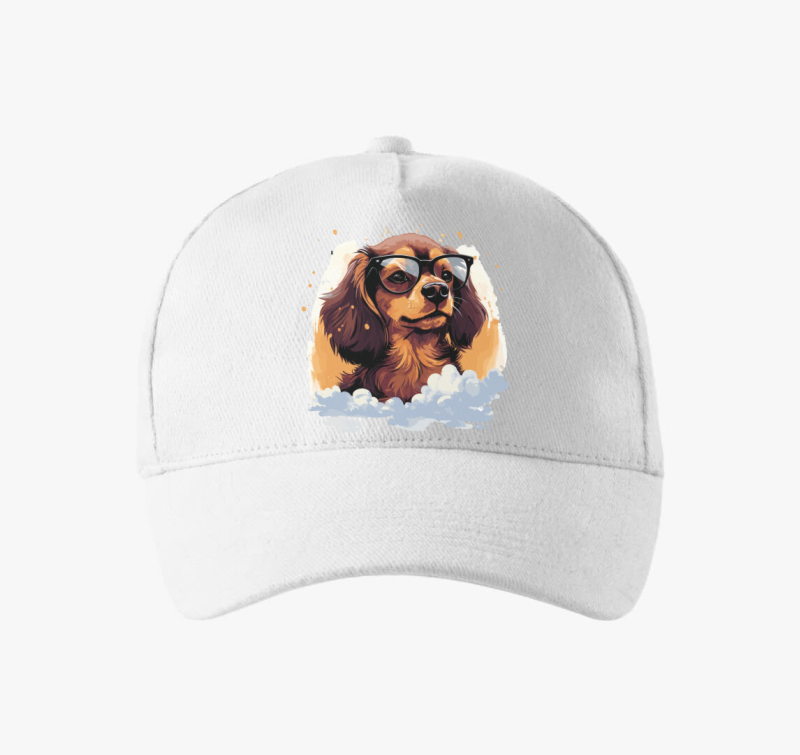 Tacsi bejzbolska kapa