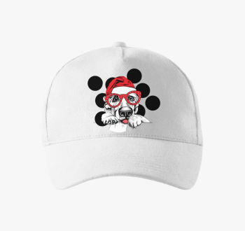 retriever bejzbolska kapa