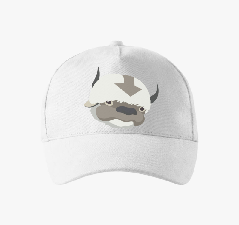 Appa bejzbolska kapa