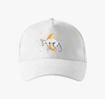 Szfinx macska bejzbolska kapa