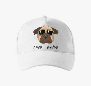 Laza kutya bejzbolsk