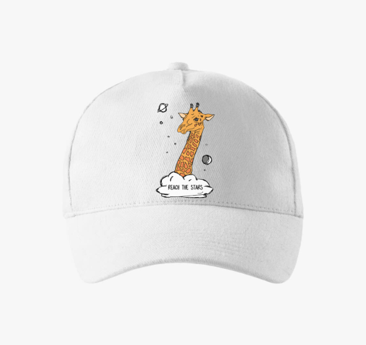 Reach the stars - bejzbolska k...