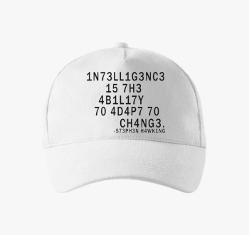 Stephen Hawking bejzbolska kapa