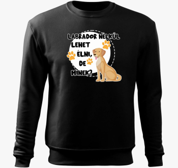 Labrador lehet de minek pulover s kapuco