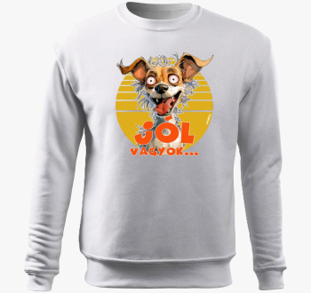 Csivava kutya pulover s kapuco