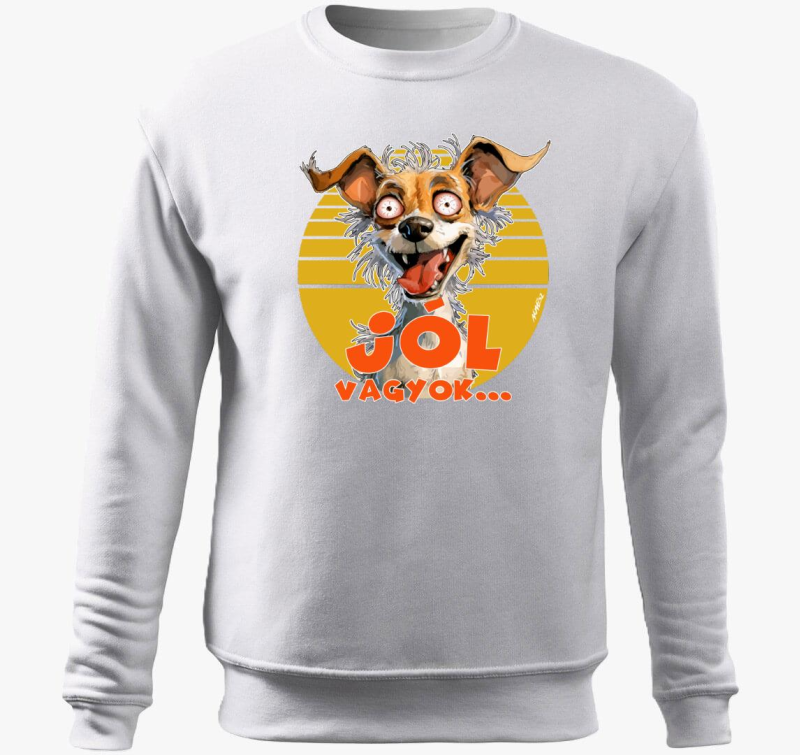 Csivava kutya pulover s kapuco