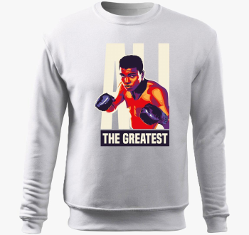 Ali pulover s kapuco