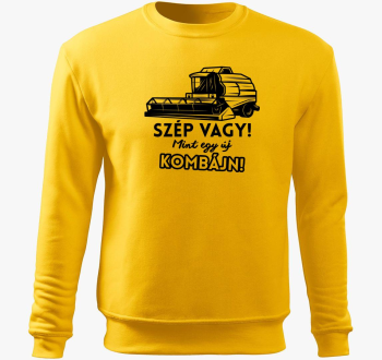 ali kot pulover s ka