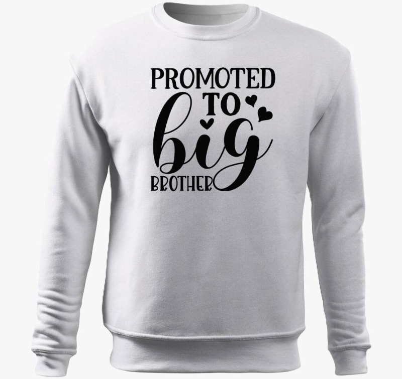 Big Brother pulover s kapuco