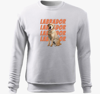 Labrador pulover s kapuco
