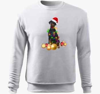 doberman pulover s kapuco