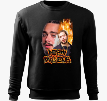 Post Malone 2 pulove