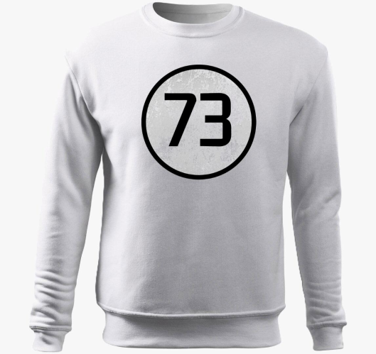 73 (Sheldon) pulover s kapuco