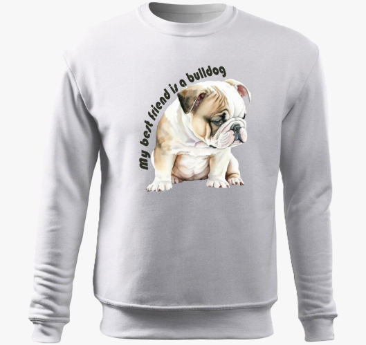 My best friend is bulldog pulo...