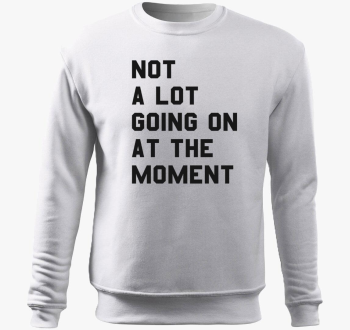 not lot going on at the moment Taylor Swift pulover s kapuco