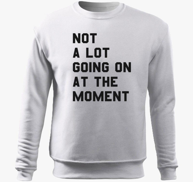 not lot going on at the moment Taylor Swift pulover s kapuco