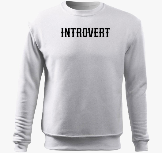 Introvert pulover s kapuco