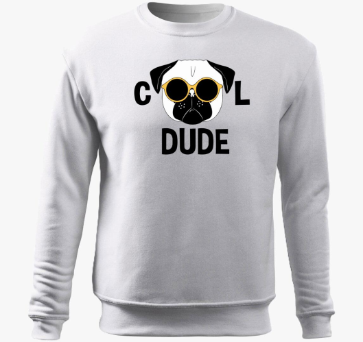Cool dude pulover s kapuco