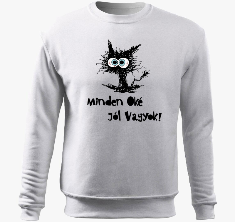 cat pulover s kapuco