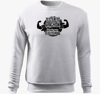 sem pulover s kapuco