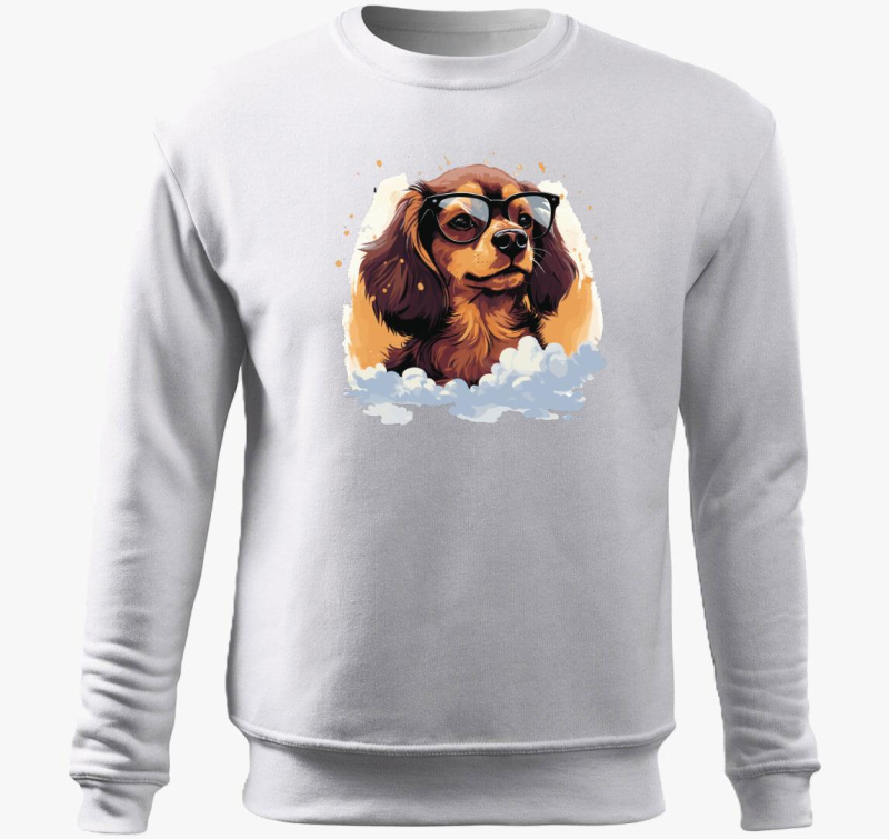 Tacsi pulover s kapuco