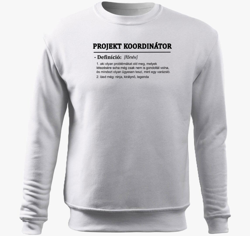 Projekt pulover s kapuco