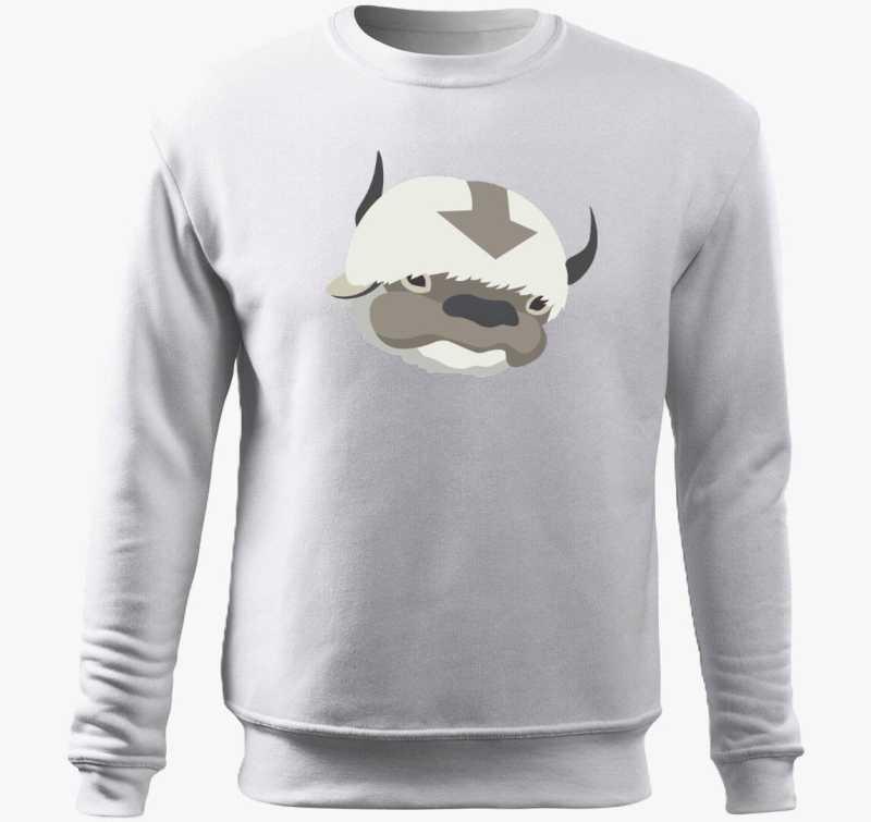 Appa pulover s kapuco