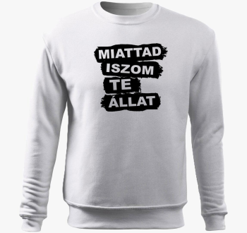 Miattad iszom te - pulover s kapuco