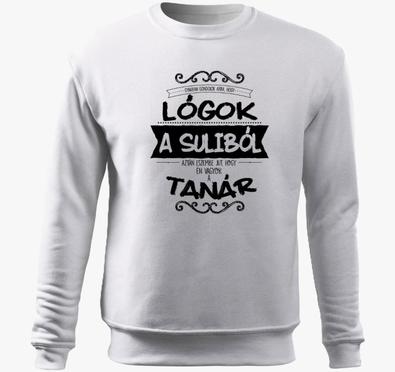 Učitelj 2 pulover s kapuco