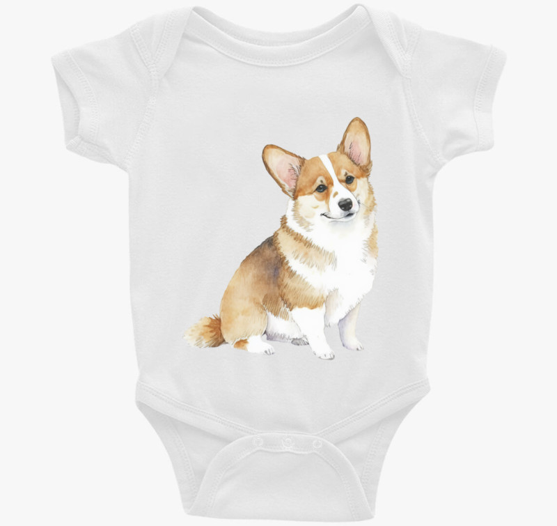 Corgi body