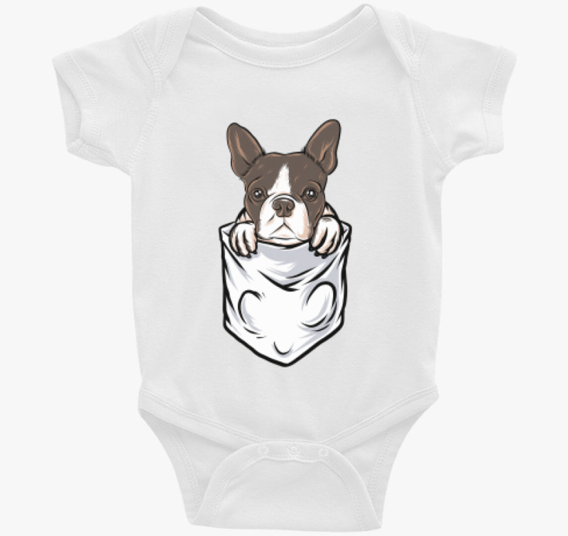 Francia bulldogos body